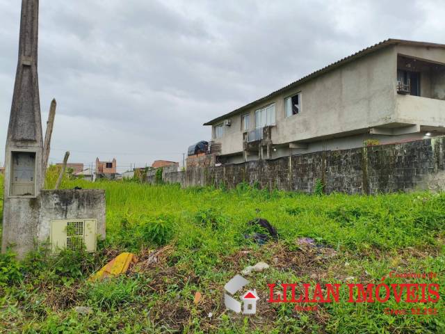 #1981 - Área para Venda em Mongaguá - SP - 3