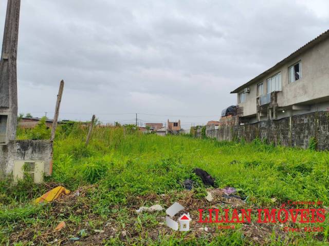 #1981 - Área para Venda em Mongaguá - SP - 2