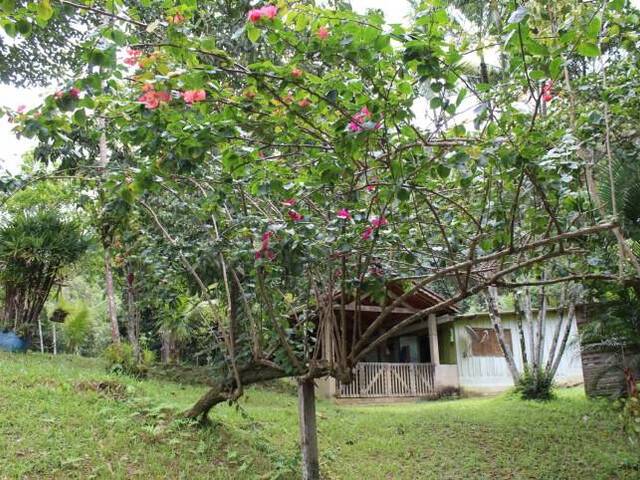 #1126 - Chácara para Venda em Mongaguá - SP - 2