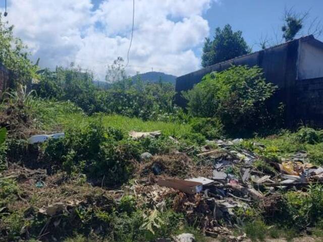 #1254 - Terreno para Venda em Mongaguá - SP - 3